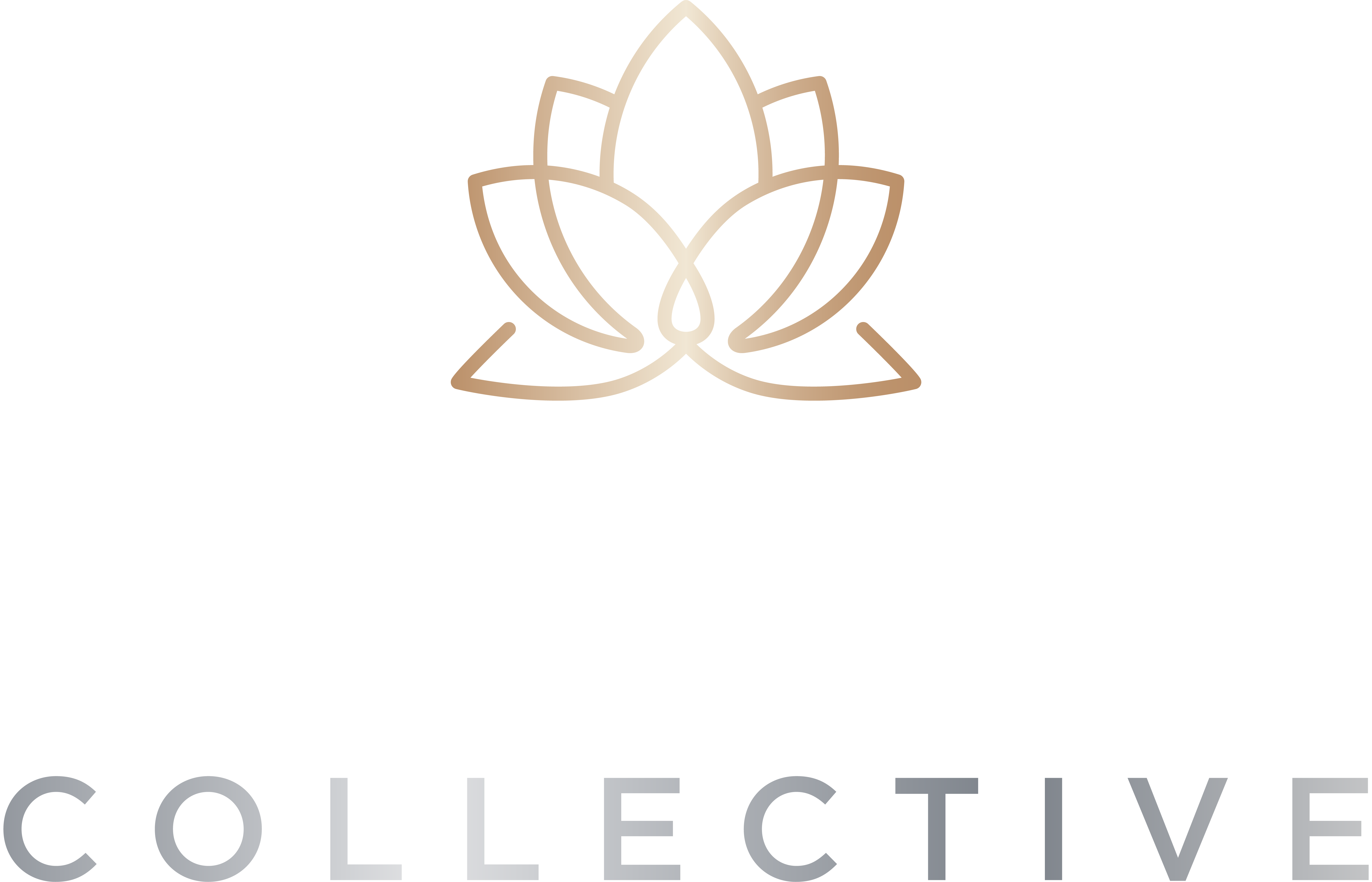 Meraki Collective